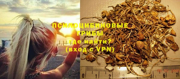 амф Алексин